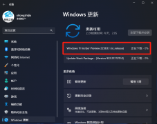 ΢Win11 22568.1(ni_release)Ԥ淢()