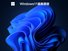 Windows11ԭ V2022.03