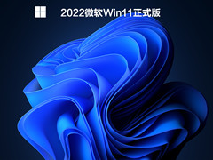 2022΢Win11ʽ V2022.03