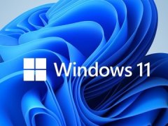 Win11ѡרҵ滹רҵվWin11רҵվרҵ
