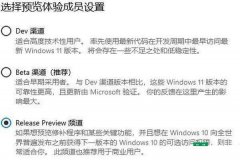 Win11Ԥôصʽ Win11Ԥôʽ
