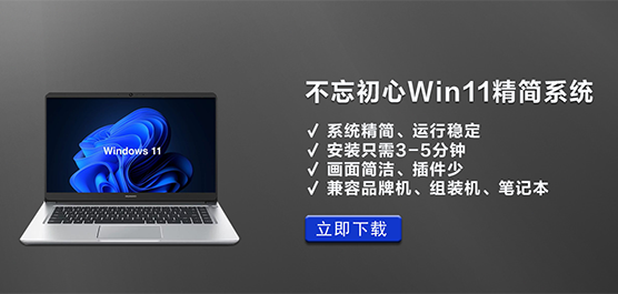 Win11ϵͳ