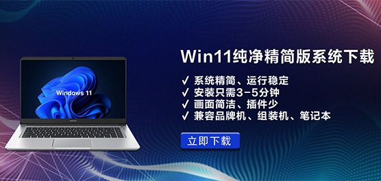 Win11ϵͳ