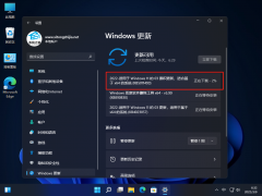 ΢Win11 KB5011493(22000.556)()