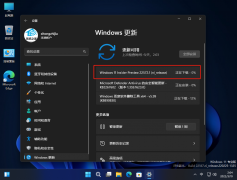 ΢Win11 22572.1(ni_release)ʲô
