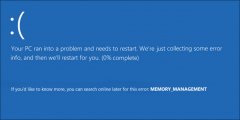 Win110x0000001AĽ
