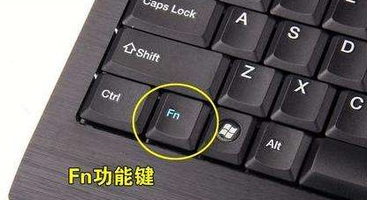 ̨ʽԼϵfnʲôfnĹϸ