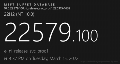 Win11 DevԤ22579.100(ni_release)ˣ¹һ