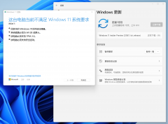 ϵWin11 22581.1ʧô죿