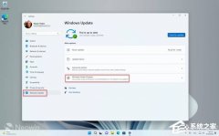 Win11 DevԻBeta𣿴DevлBetaϸ̳