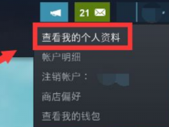 Steamɾ˶̬Steamɾ˶̬ķ