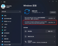 ΢Win11 Dev 22589.1(ni_release)Ԥ־