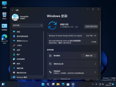 ΢Win11 Build 22607.1(ni_release) Dev/Beta汾һ