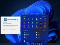 Win11ҲƵô