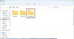 Win11޷ʹļô Win11ļ޷ν