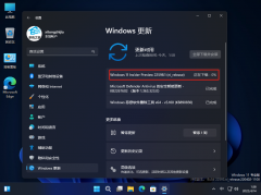 ΢Win11 Build 22598.200KB5014105(ni_release) Dev/Beta汾