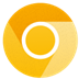 ȸ(Google Chrome) V122.0.6176.0 Canary