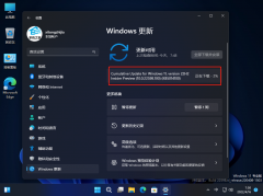 ΢Win11 Build 22611.1(ni_release) Dev/Beta淢