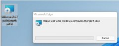 Win11flash쳣޸ʧν