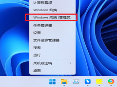 Win11ļô