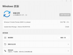 ΢Win11 Build 22610.1(ni_release)DevԤ淢һ
