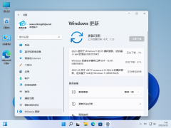 ΢Win11 KB5014019(22000.706)
