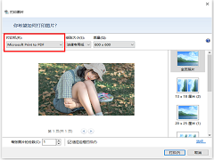 Win10ôĵͼƬҳΪPDFļ