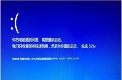Կkernel security check failure 