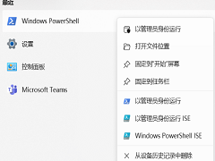 Win11ϵͳֹнűν
