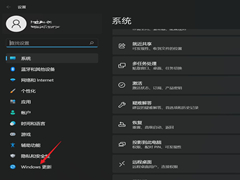 Win11ͬʱ΢Ʒ