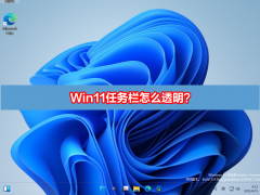 Win11ô͸Win11ȫ͸ý̳