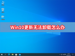 Win10²޷жô죿