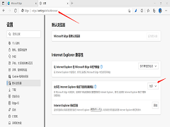 Win10ûInternet Explorerô죿