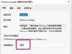 Win11Windows UpdateúԶô