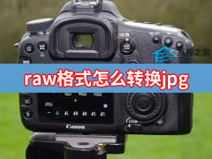 rawʽôתjpg rawʽתjpgʽõַ