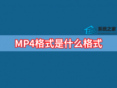 MP4ʽʲô?MP4ʽʲôʽ
