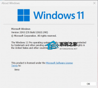 ΢Win11 Insider Preview 22622.290 (ni_release)԰淢