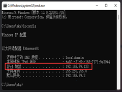 Win11IPַ￴Win11鿴IPַķ