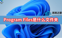 Program FilesʲôļУ