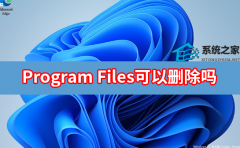 Program FilesɾProgram Filesļܲɾ