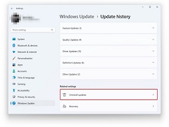 Win11 22H2ôжظ²Win11 22H2жظ²Ĳ