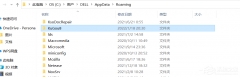 appdataroamingļɾ