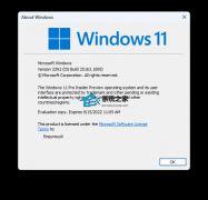 ΢Win11 Insider Preview 25163.1000 (rs_prerelease)Ԥ