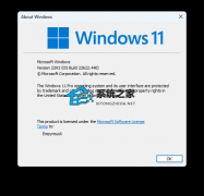 Windows 11 Insider Preview 22622.440 (ni_release)(KB5015890)Ԥ