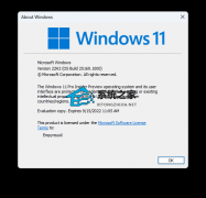 ΢Windows 11 Insider Preview 25169.1000 (rs_prerelease)Ԥ
