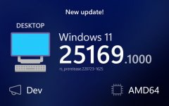 ΢Win11 25169.1000(־)