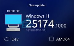 Win11 Dev Build 25174.1000Ԥ(־)