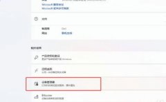 Win11β鿴ԿͺţWin11鿴Կͺŵķ
