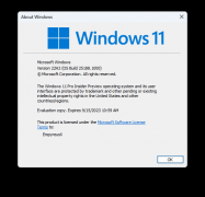 ΢Win11 Insider Preview 25188.1000 (rs_prerelease)ԭiso(tpmװ