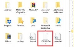 ntuser.datʲôļɾ